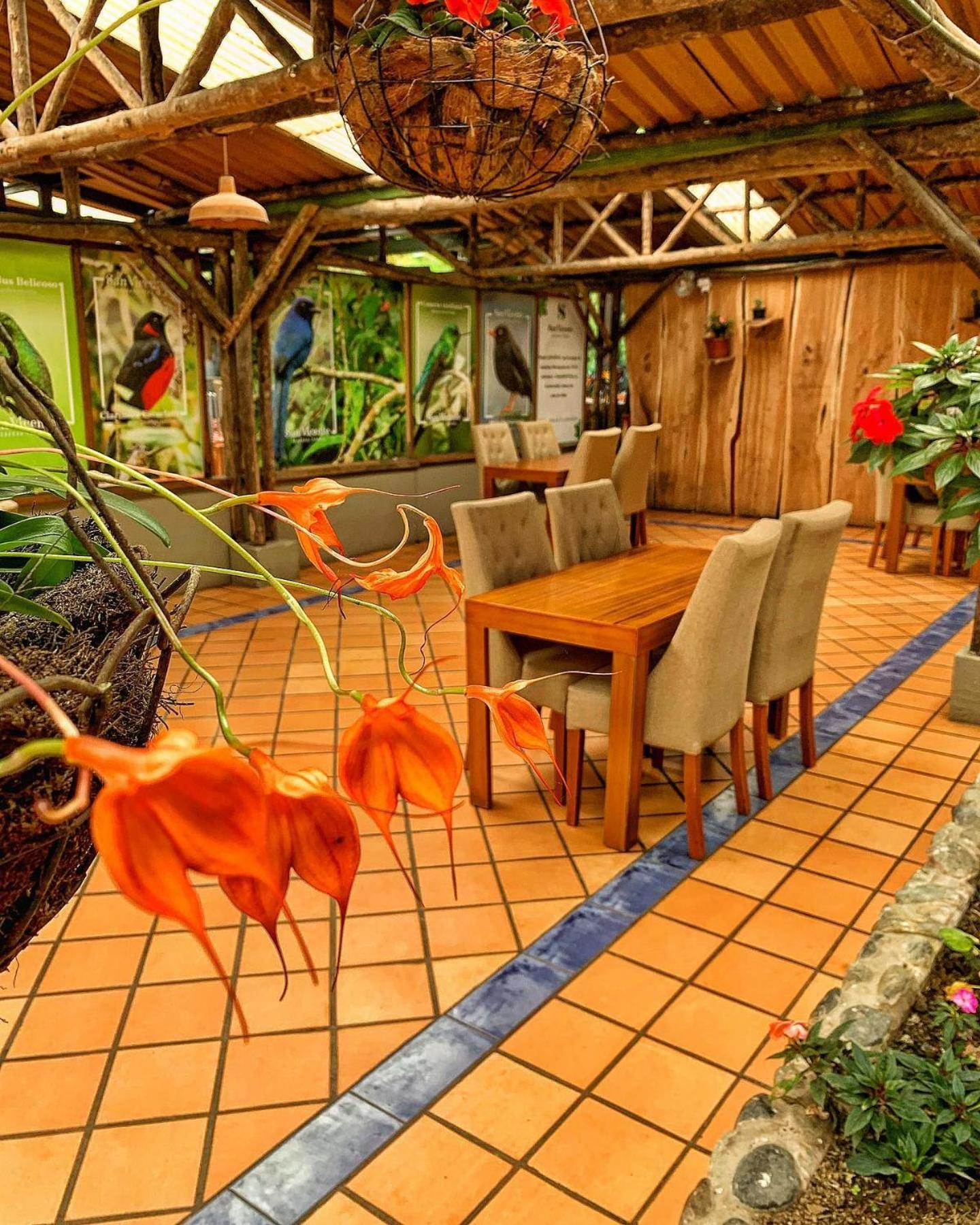 Hotel Termales San Vicente Santa Rosa de Cabal Exterior photo