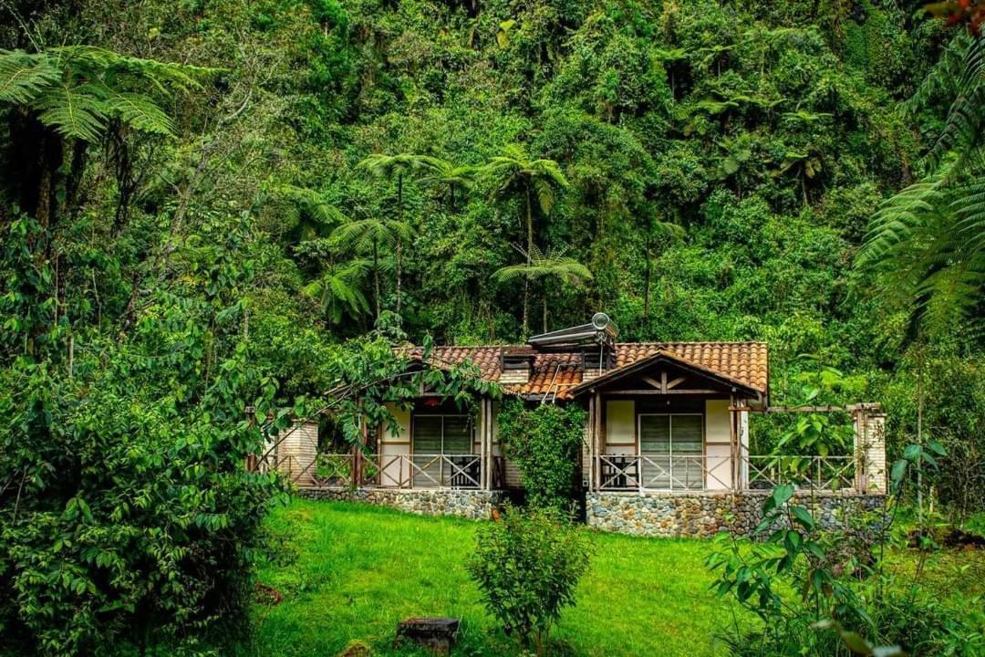 Hotel Termales San Vicente Santa Rosa de Cabal Exterior photo